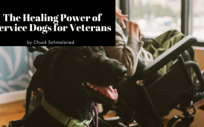 The Healing Power of Service Dogs for Veterans